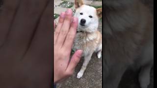 An enthusiastic High 5