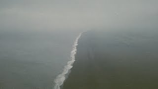 Rev Gusto - Shoot The Messenger