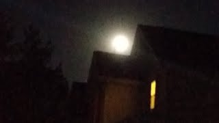 🌕 NO MYSTERY NOW🎈LIFE PLAN'S ABUNDANTLY 🦺 CORRUPT THE FLOW OF NEGATIVITY 💸