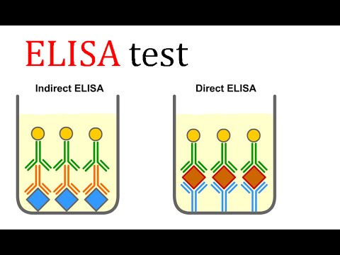 ELISA test