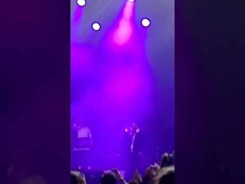 Kastro koncert kumanov