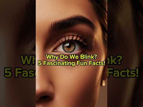 Why Do We Blink? 5 Fascinating Fun Facts!