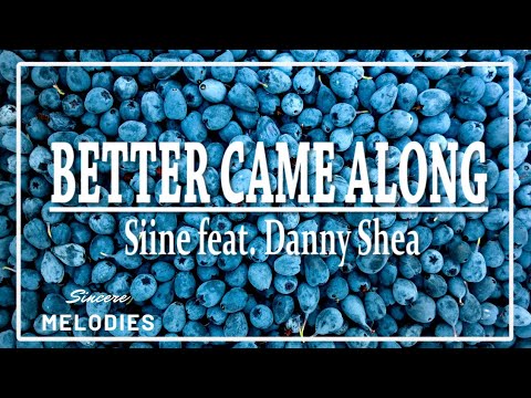 Siine feat. Danny Shea - Better Came Along | Lyrics |💙