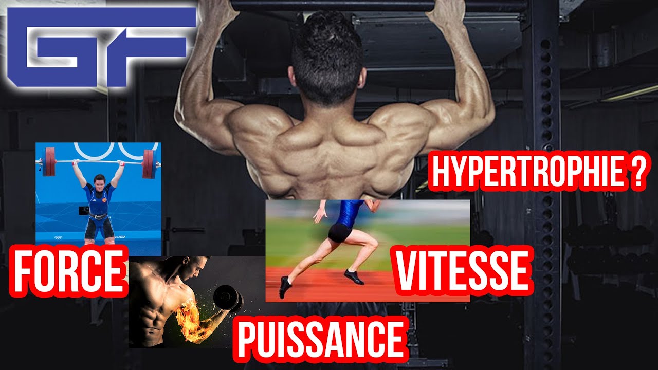 Des MUSCLES plus GROS avec L'EXCENTRIQUE ?! (20 et + études scientifiques en source)