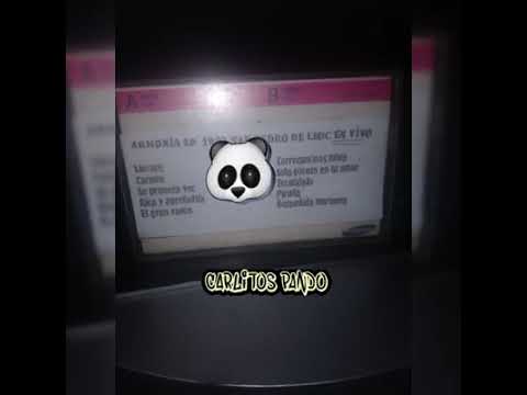 AUDIOS INEDITOS-ARMONIA 10 EN SAN PEDRO D LLOC 1994