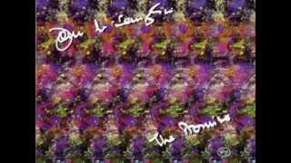 John McLaughlin &#39;Jazz Jungle&#39;