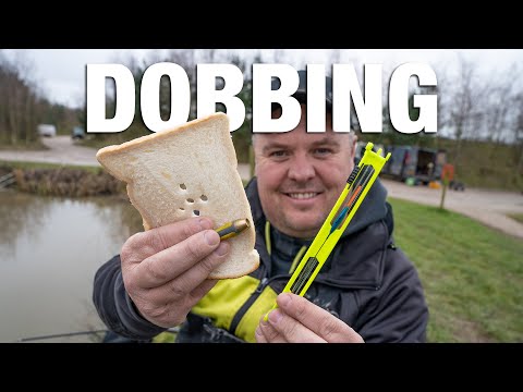 Dobbing with Bread and Maggots | The Basics