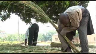 Esoko: The Story of a Ghanaian Software Company