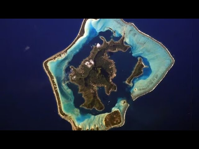 Vídeo relacionado con La isla de coral: Una travesía de descubrimiento y amistad en la naturaleza salvaje de una isla llena de aventuras y desafíos