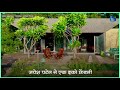 A Peek Into An Eco Friendly Farm House Ahmedabad