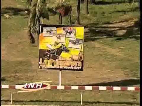 Resumen Viernes, 14 de Febrero de 2014 - Valencia