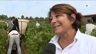 YouTube: Domaine Jean Chartron Savigny-les-Beaune Theologique, Nourrissant et Morbifiuge