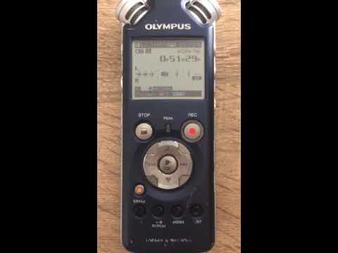 RC & the Gritz opening set jam @ Freeman cafe March 6 2022