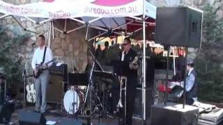 RAY BEADLE BAND & HORNS @ THREDBO BLUES FEST 2011: (1)