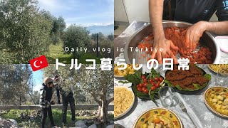 【トルコ暮らし】フェティエで生活する日本人の日常｜トルコの市場・トルコ料理・オリーブ剪定の様子🌿