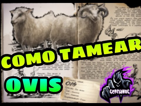 COMO TAMEAR A OVIS SOLO | Guía Español | Ark: Survival Evolved.