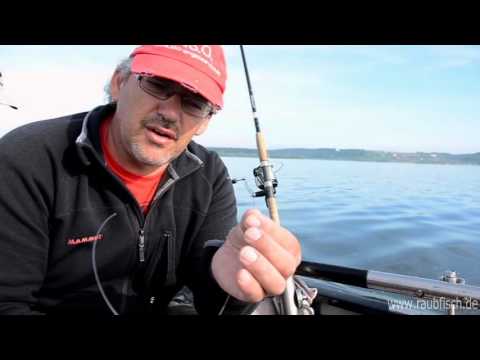 Das perfekte Schlepp-Vorfach