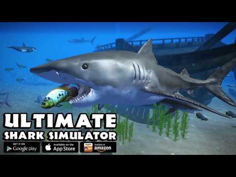 Tiger Sharks, Ultimate Shark Simulator, By Gluten Free Games - YouTube