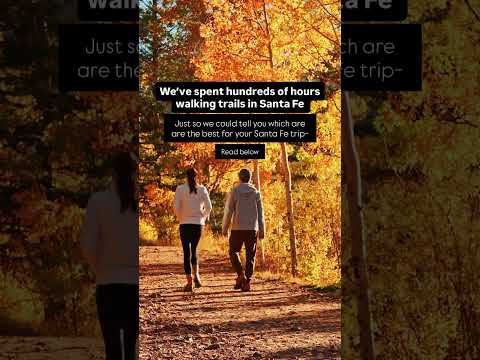 1️⃣ Aspen Vista Loop – Wander golden aspen groves and catch sweeping mountain views