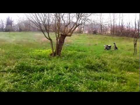 Non posso trovare la forza per lasciare il marito lalcolizzato Come smettere di bere per vita