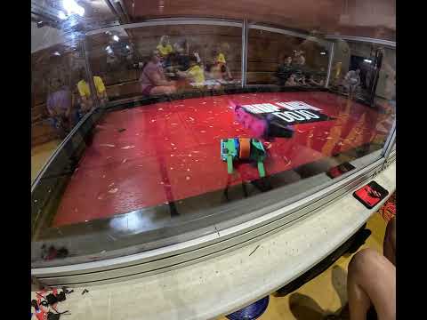 Plastic Ant Grand Final: Killer Parakeet vs Lunch Head at Dropkick Dojo Summer Showdown 2025