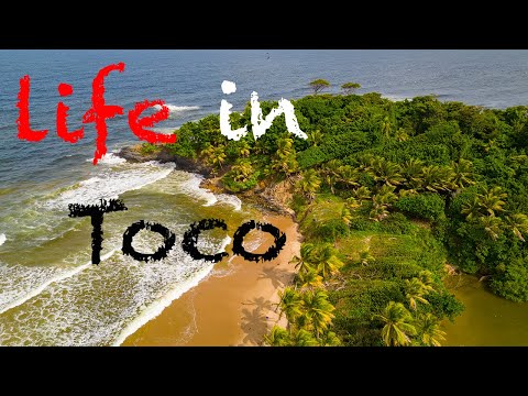 Toco Trinidad , A coastline lost in time - Bring back the old time ways ! Trini surfer short film