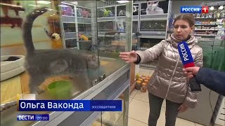 Репортажи 