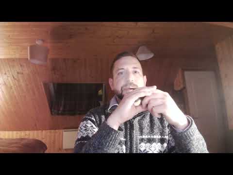 65. Popping in to explain my absence