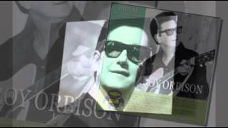 Roy Orbison Seems To Me