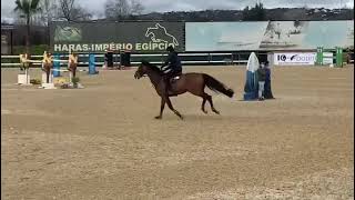 Fernando 3e Ranking proef 1.45m CSI3* Vilamoura 