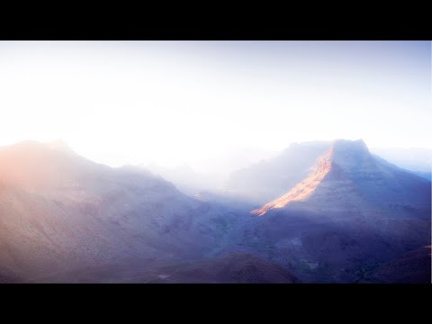 Dominic Romano - Never In My Dreams feat. Luna Keller | Official Lyric Video