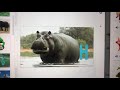 Andy S Animal Alphabet 1973