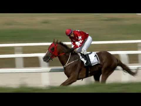 Bérczi Károly EV 1600 m