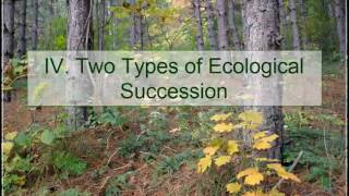 Ecological Succession (Theme 1 Topic 1 pg 5)