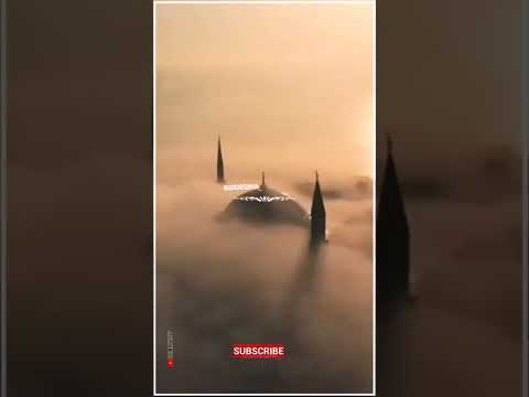 Islamic WhatsApp Status 2022 Best Status #short #shortsff #like