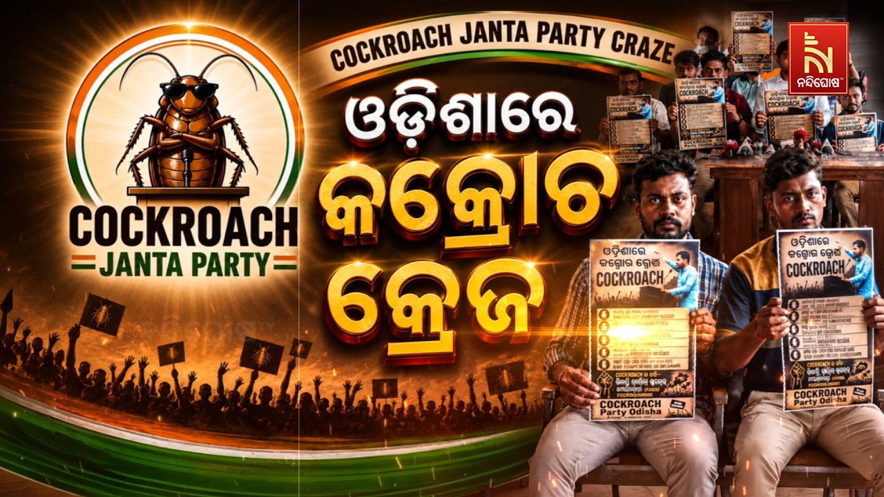 ଓଡ଼ିଶାରେ କକ୍ରୋଚ କ୍ରେଜ୍ | NandighoshaTV
