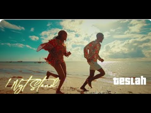 Teslah - 1 Nyt Stand ft Rock C (Official Music Video)Remix