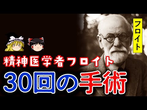 ジョン・スタイナー (精神分析家)について詳しく解説