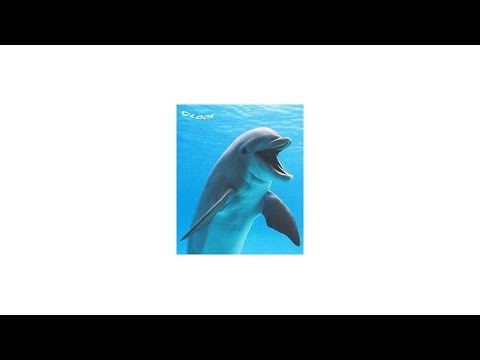 Wavey Flute Beat 2019 - 🐬 Clock 🐬 - Prod. by  Ioshizuu