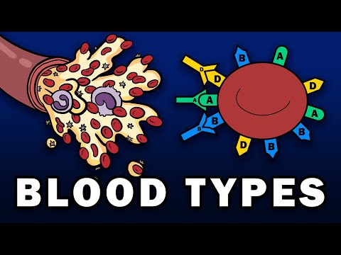 BLOOD TYPES - ABO and Rh Blood Group Systems