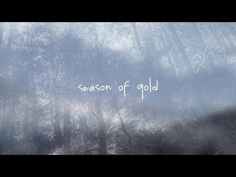 Narrow Skies ~ Season of Gold