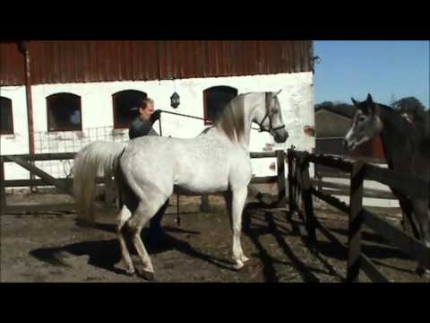 Coming soon - GIRLAN BEY