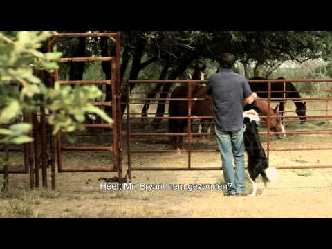 afbeelding Angel Dog