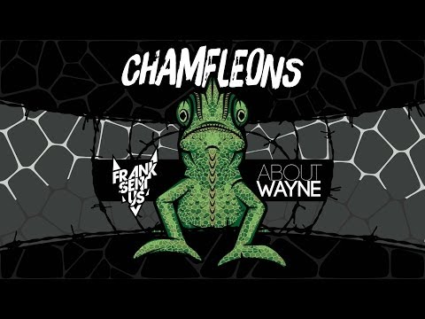 Frank Sent Us featuring About Wayne - Chameleons
