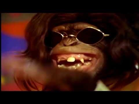 Evolution Revolution Performing My Date