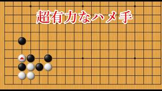 【AIハメ手】人間には知られていないハメ手【囲碁】