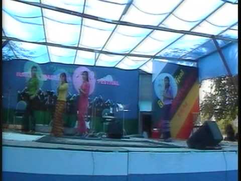 BURMESE COMMUNITY OF UTAH (2014 THINGYAN-YIN TA KO MAL)