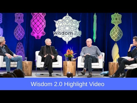 Wisdom 2.0 Highlights