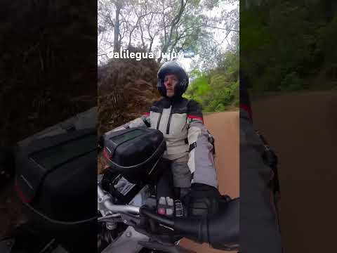 #Calilegua Jujuy 🇦🇷