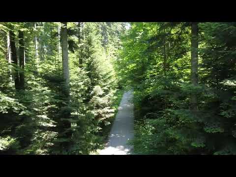 ICS - Where Our Kind of Education speaks fluent Switzerland